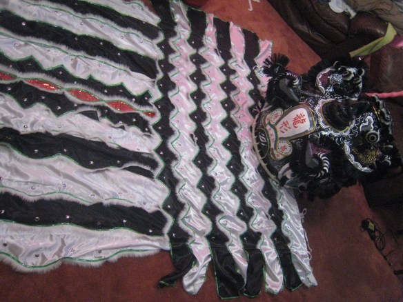 Back view of the tail